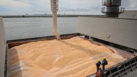 С 10 декабря в России обнулят пошлины на пшеницу 